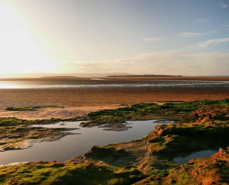 Iniquities - The Last Dance